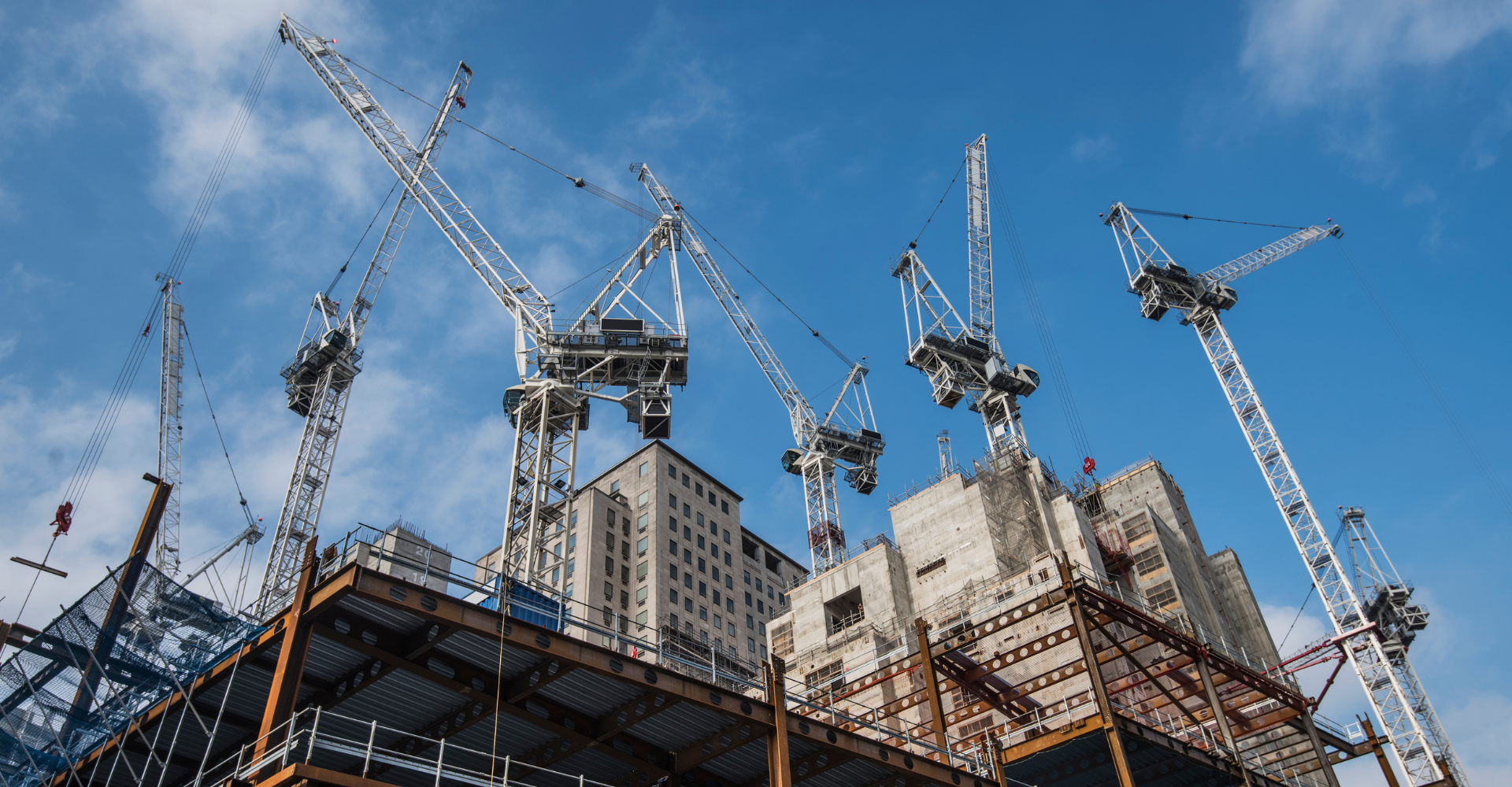 Diseño sin título - 2025-11-21T111620.370