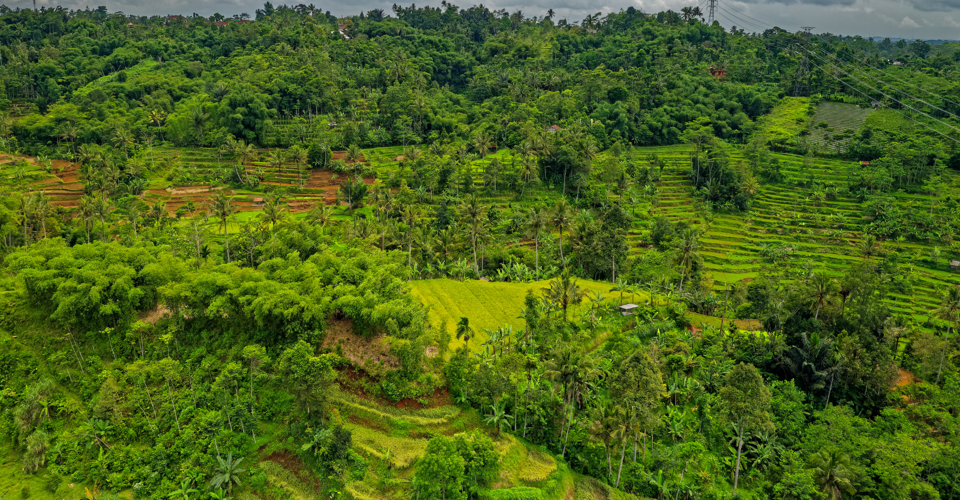 Diseño sin título - 2025-11-21T115437.559