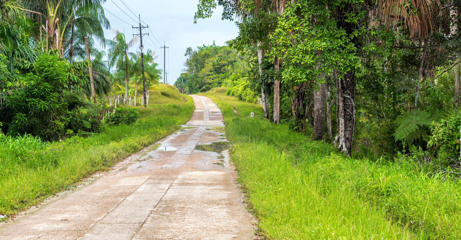 Diseño sin título - 2025-11-21T115501.121