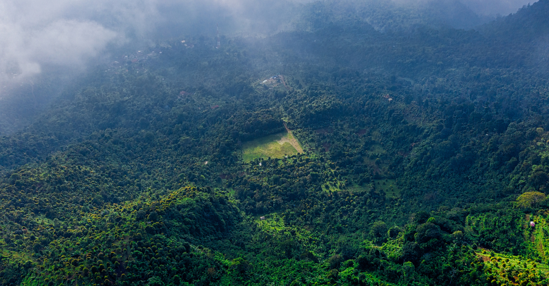 Diseño sin título - 2025-11-21T120035.547