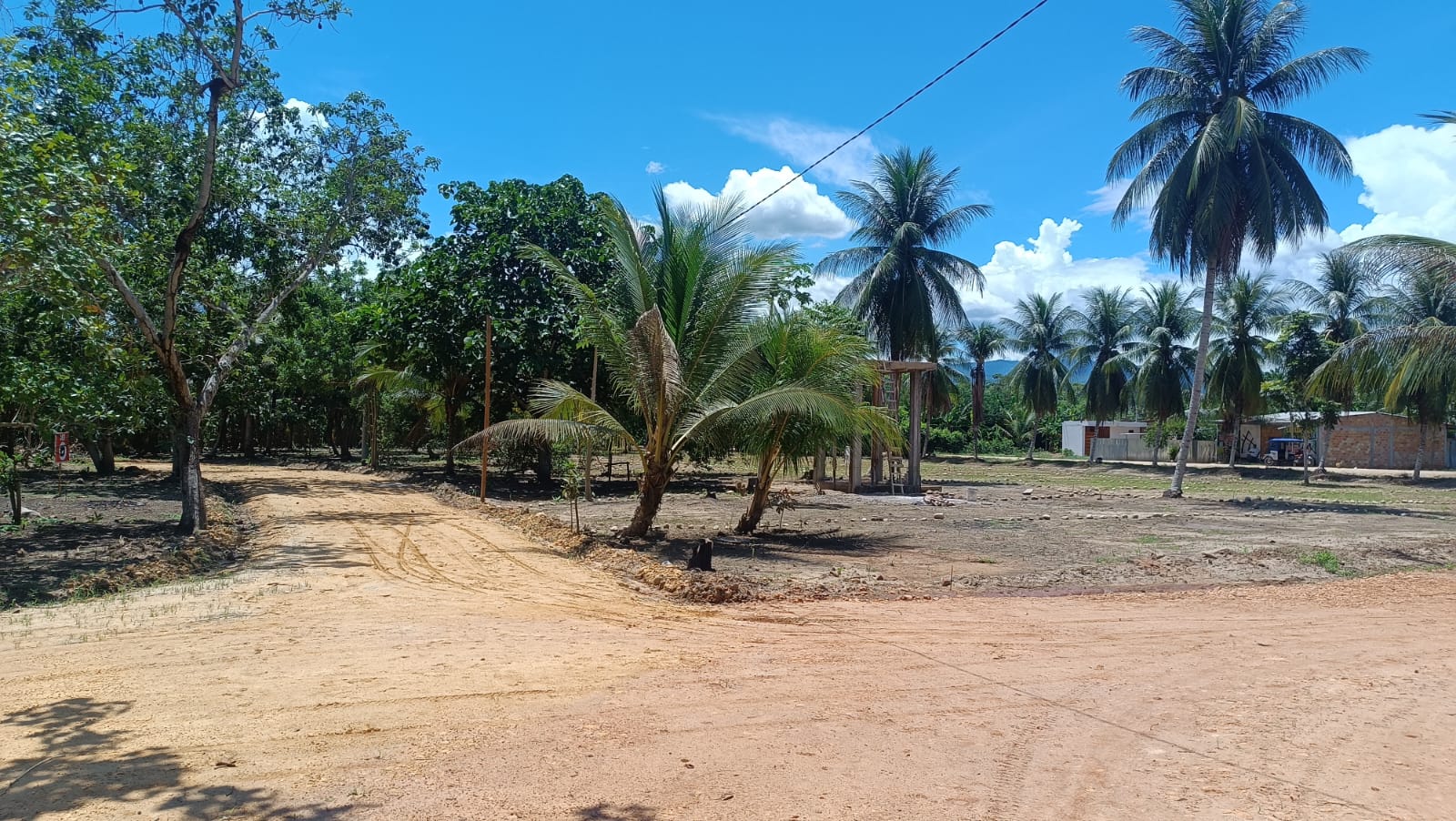 WhatsApp Image 2025-12-12 at 2.46.08 PM (1)