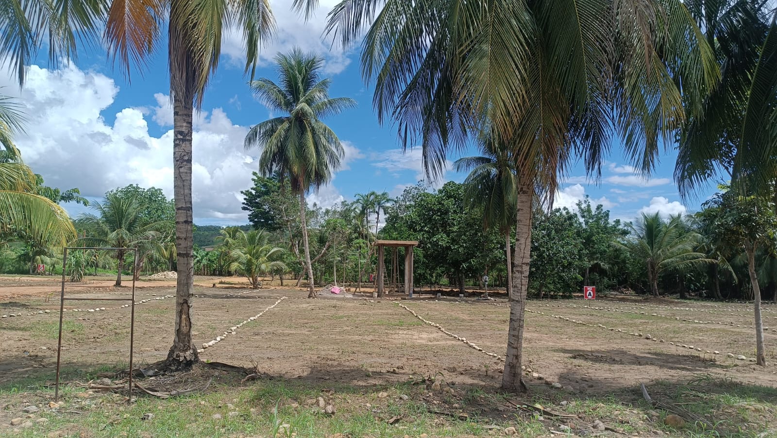 WhatsApp Image 2025-12-12 at 2.46.08 PM (2)