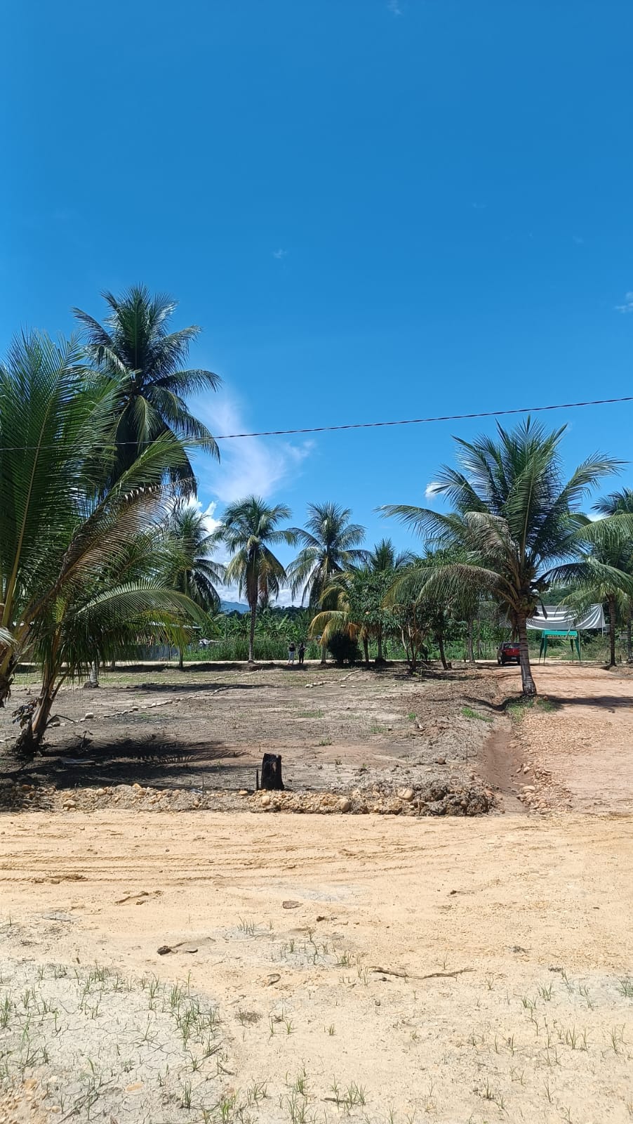 WhatsApp Image 2025-12-12 at 2.46.08 PM