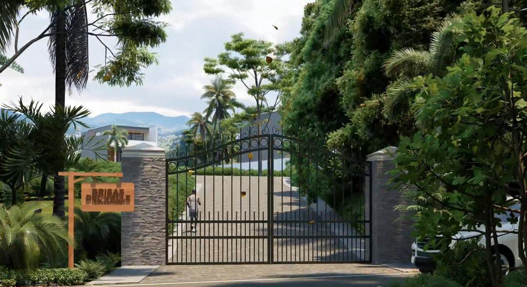 WhatsApp Image 2025-12-12 at 3.16.32 PM