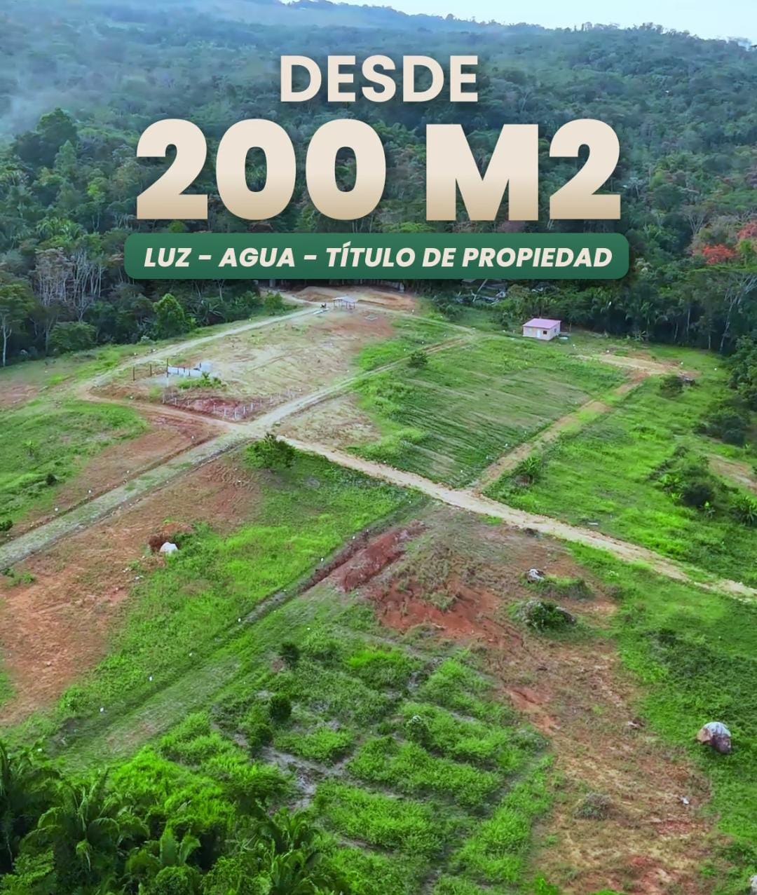 WhatsApp Image 2025-12-12 at 3.28.04 PM (1)