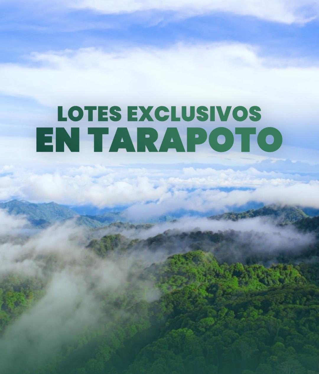 WhatsApp Image 2025-12-12 at 3.28.04 PM (2)